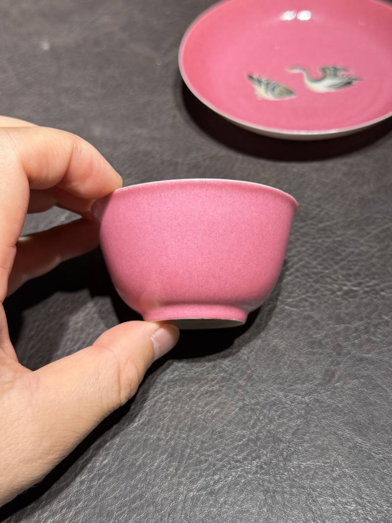清雍正 胭脂水地粉彩芦雁图杯碟一套 - 图5
