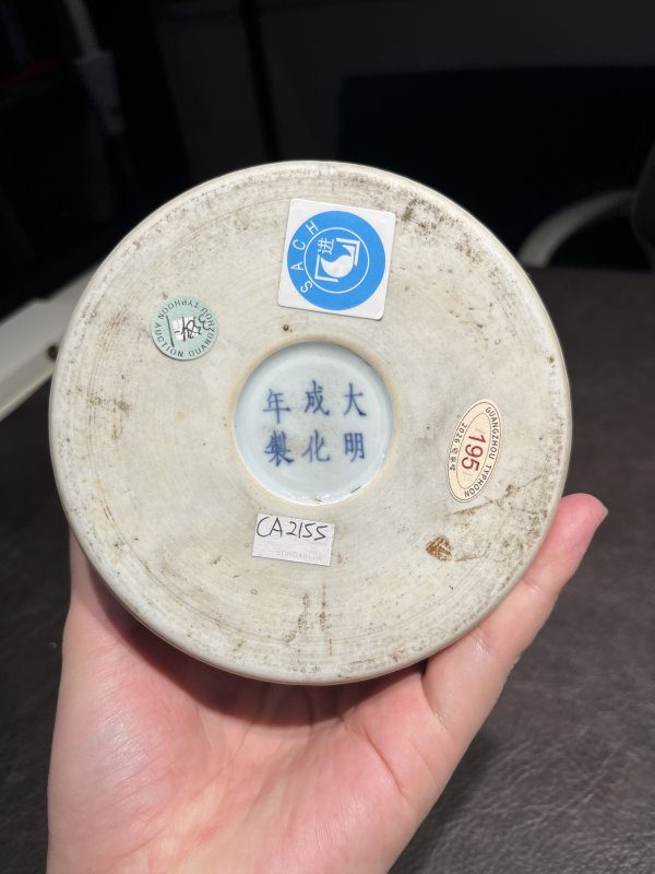 清雍正 安窑斗彩山水图梅瓶 - 图45
