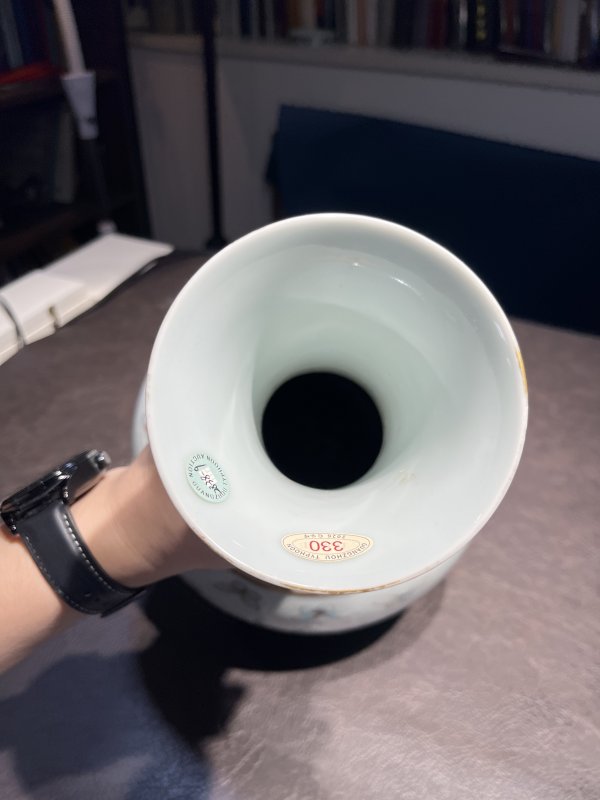 清光绪 粉彩百蝶纹赏瓶 - 图19