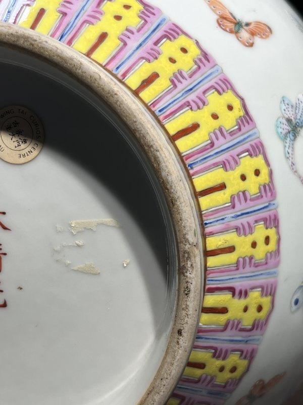 清光绪 粉彩百蝶纹赏瓶 - 图21