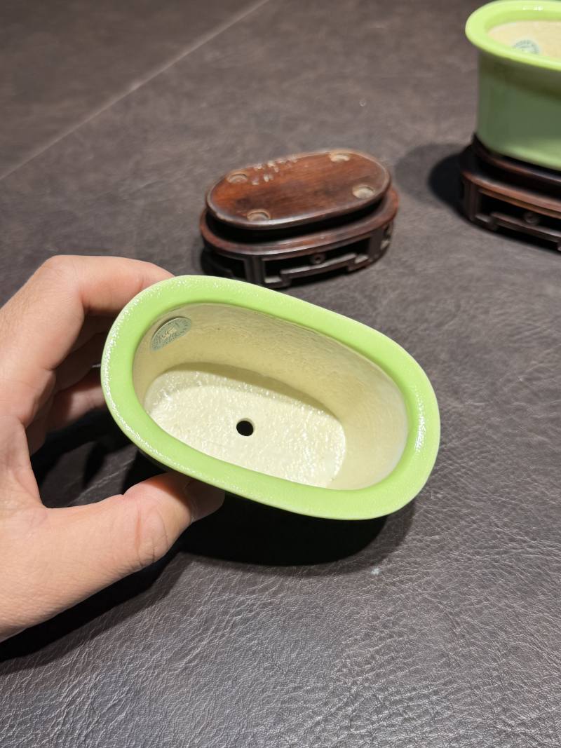 十八世纪 秋葵绿釉菖蒲盆一对（原配红木底座） - 图8