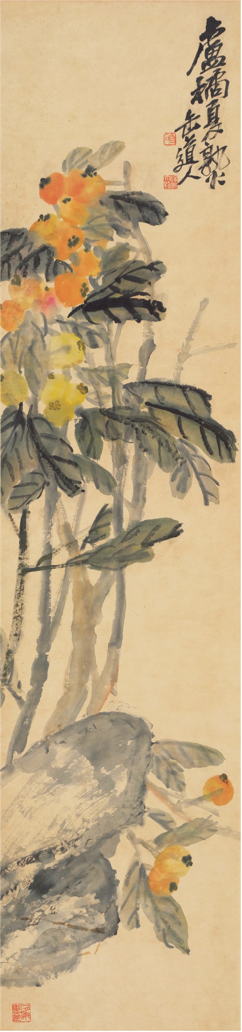 吴昌硕（1844～1927） 卢橘夏熟