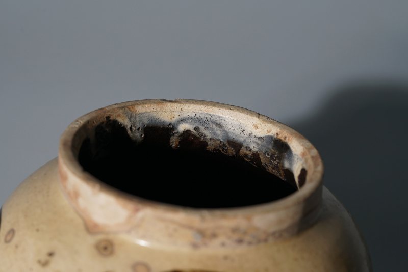 清 白釉褐彩花卉纹罐 - 图13