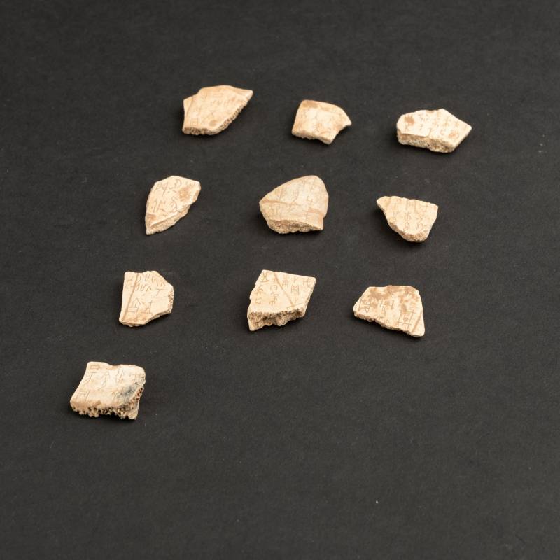    甲骨文片十點