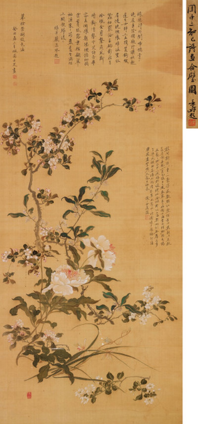 席佩兰（1760-1829后） 摹徐崇嗣设色花卉