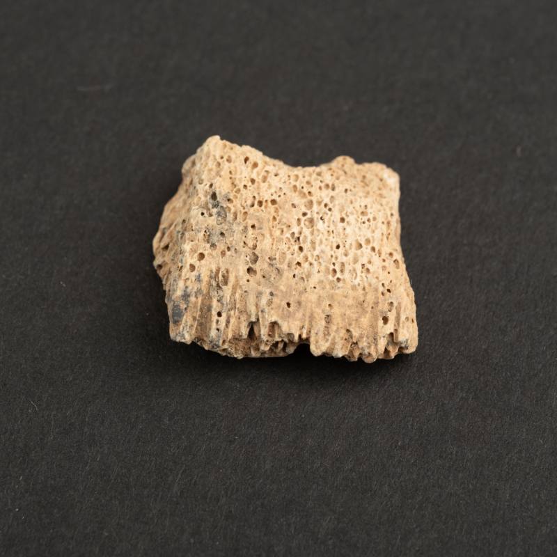    甲骨文片十點 - 图6