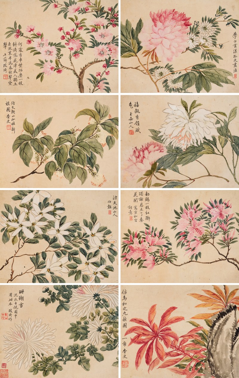 改 琦（1773-1828） 花卉册 - 图2