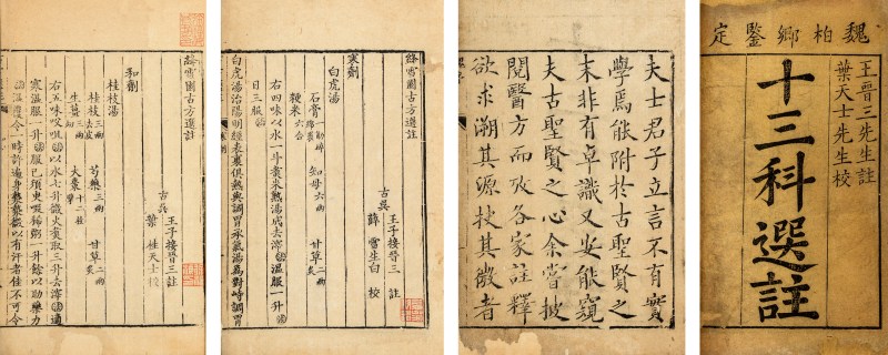 十三科绛雪园古方选注 - 图2