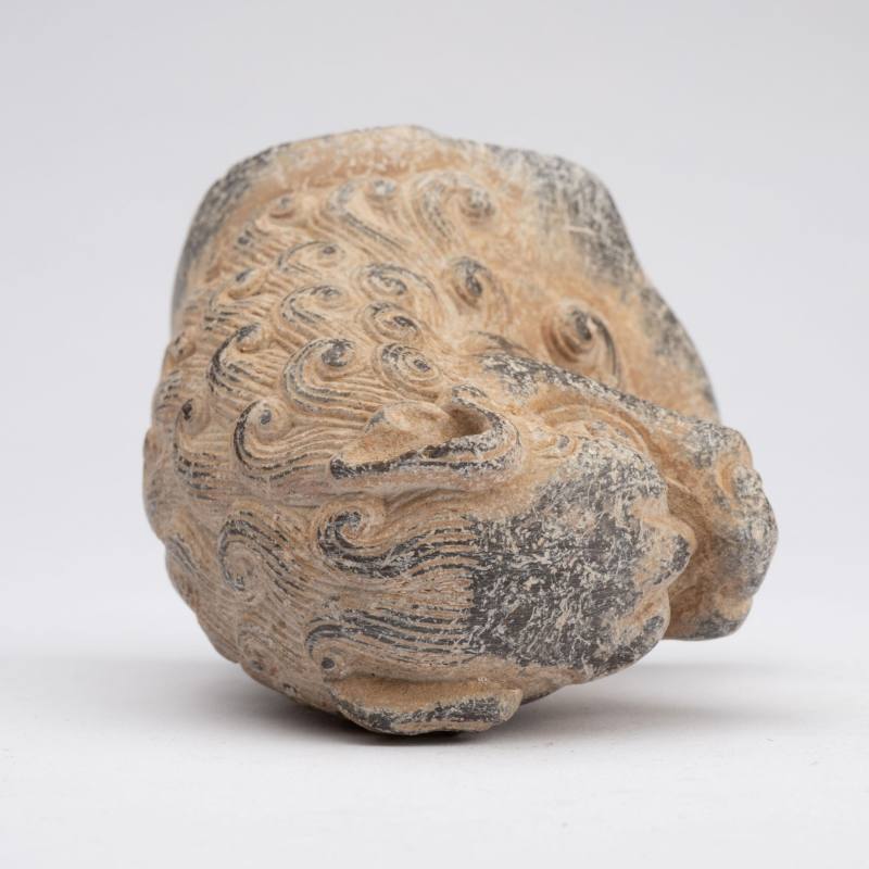    唐 青石獅首像 - 图6