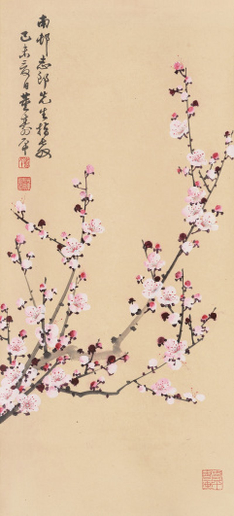 董寿平 1904-1997 粉梅