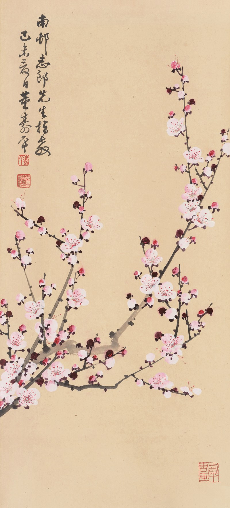 董寿平 1904-1997 粉梅 - 图2
