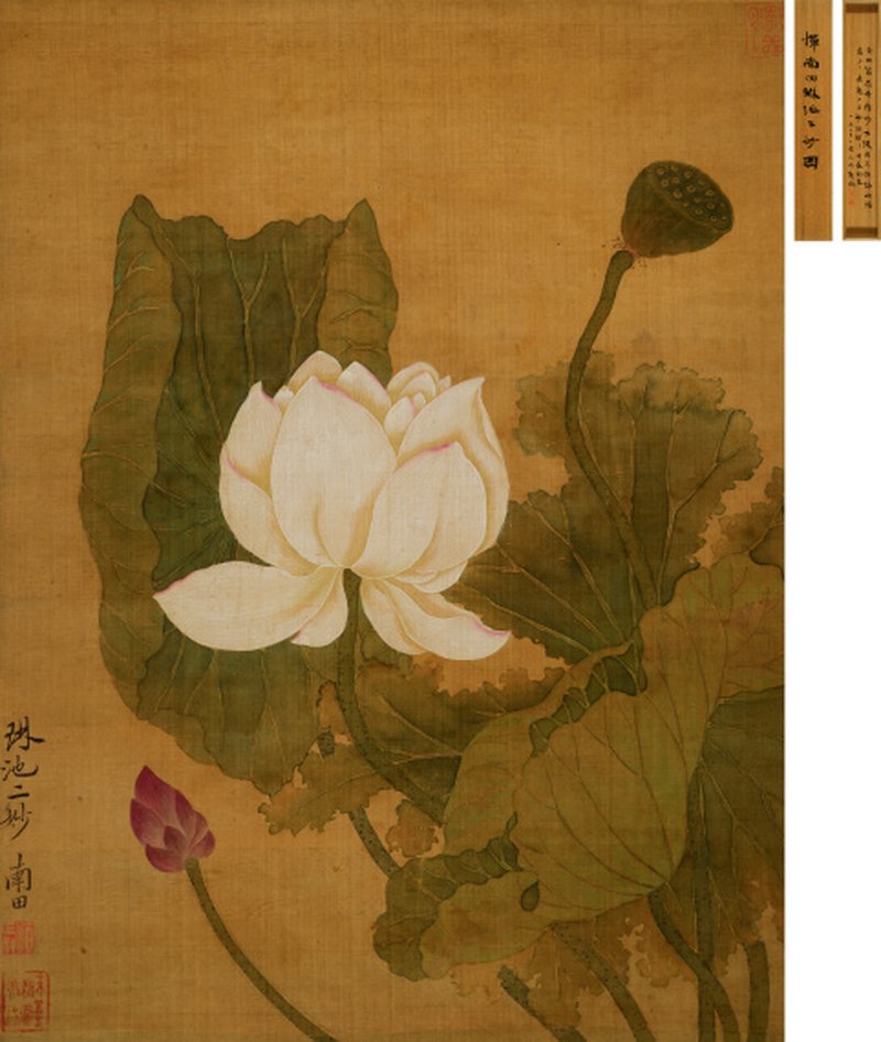 恽寿平（1633-1690） 琳池二妙 - 图1