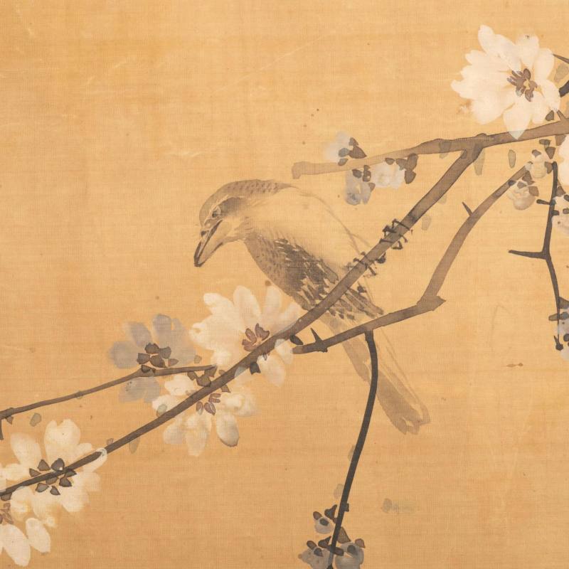    馬家桐花鳥軸 - 图4