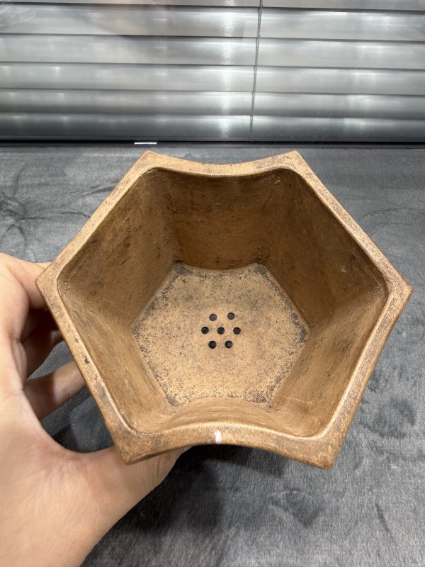 清紫砂花卉纹六边形小花盆 - 图8