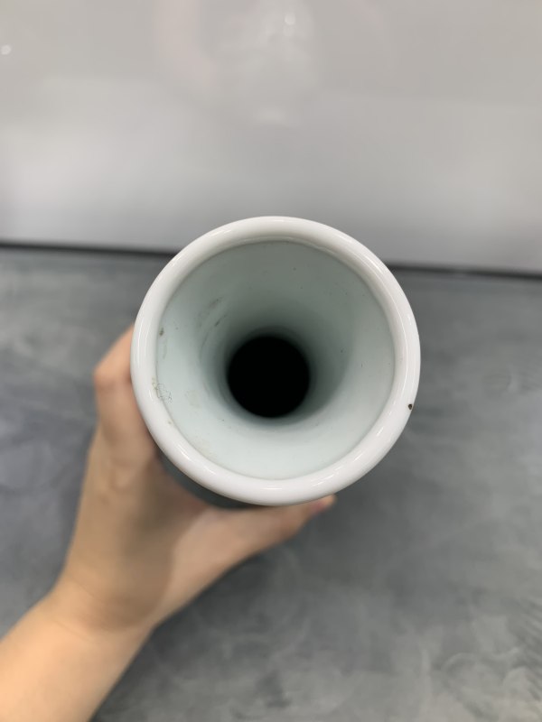 清晚期粉彩关公出行图胆瓶 - 图6