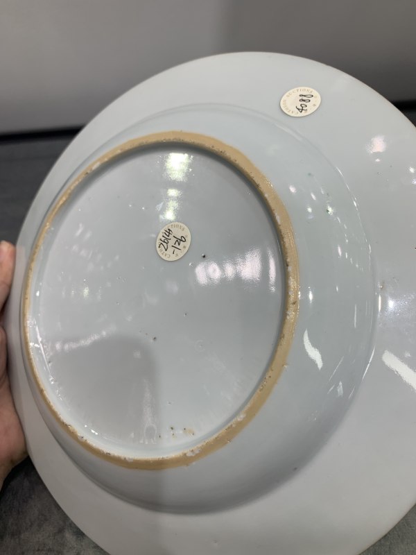 清康熙五彩鱼藻纹折沿盘 - 图7
