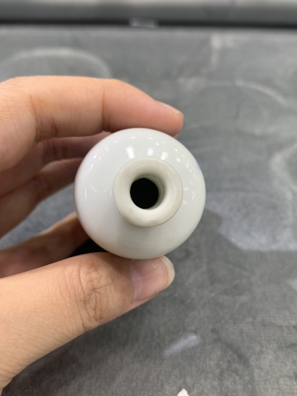 清晚期青花高士对谈图鼻烟壶 - 图6