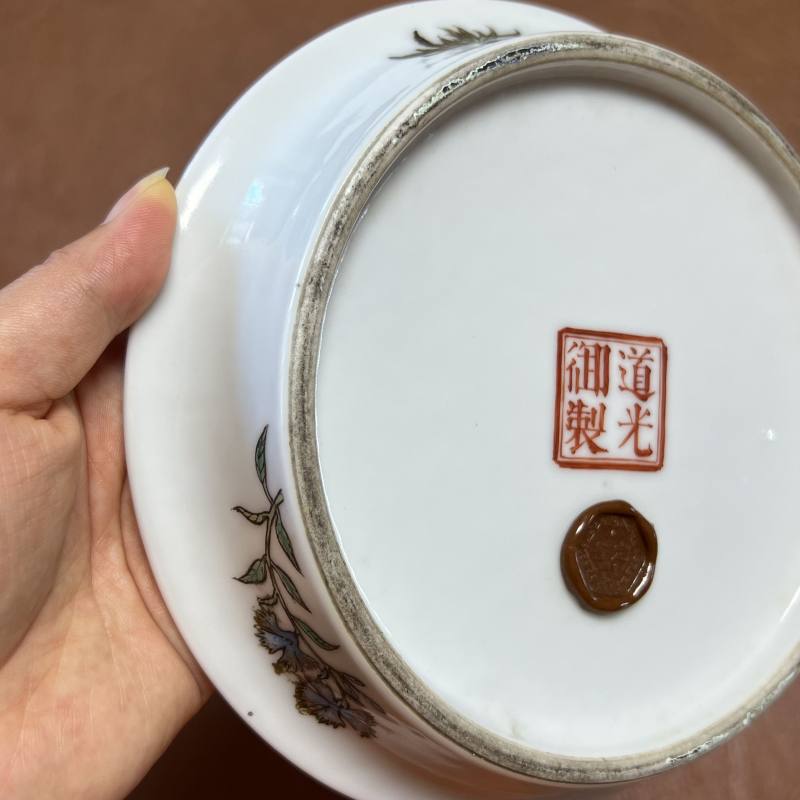 民国 “道光御制”款粉彩折枝花卉纹花盆一对 - 图41