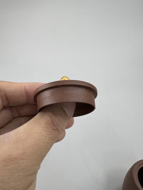 现代 朱江龙制清荷问禅壶 - 图8