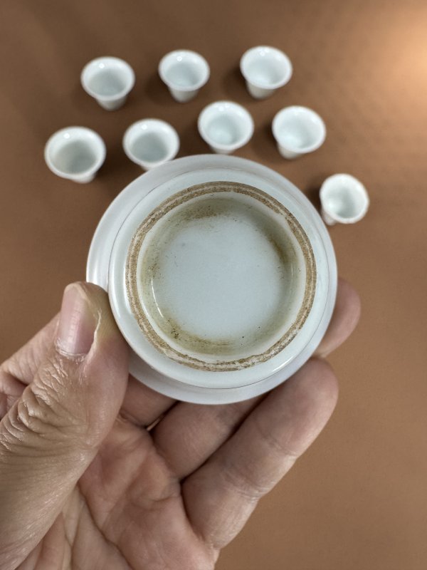 明-清 德化窑白釉花口杯、白釉铃铛杯一组十一只 - 图12