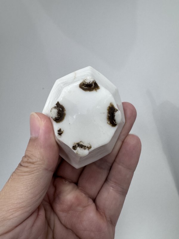 清早期-中期 德化窑白釉刻骏马图八方杯、紫泥加蓝彩癞瓜花卉纹书卷式双联壶一组 - 图7