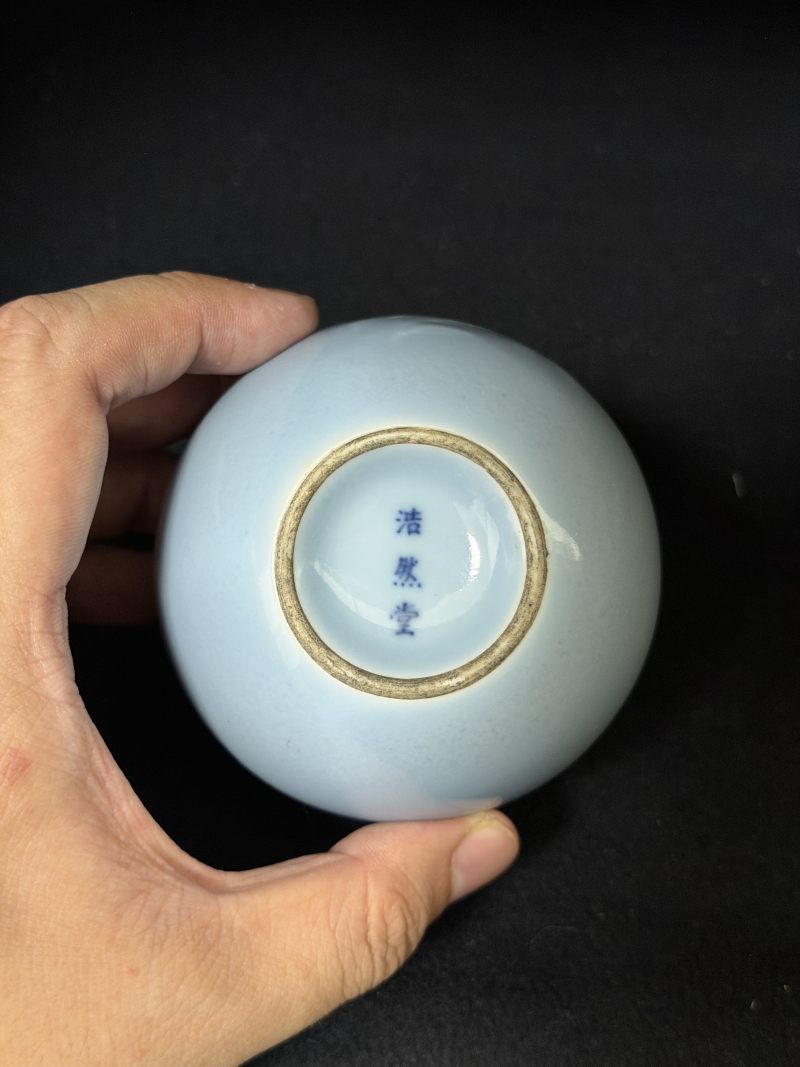 清道光 天蓝釉模印折枝花卉小石榴尊 - 图4