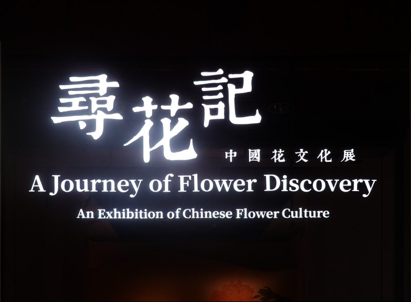 寻花记 - 中国花文化展
