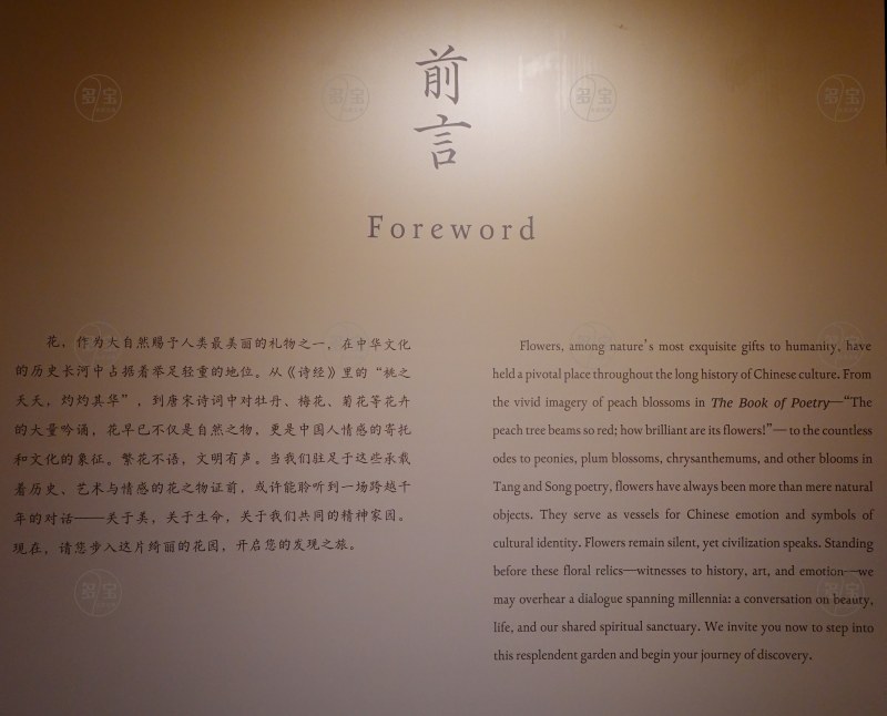 前言