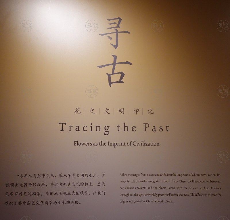 寻古
- 花之文明印记