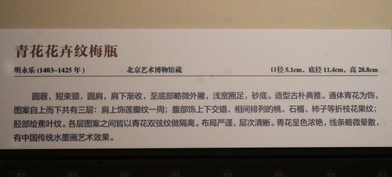 明永乐 青花花卉纹梅瓶 - 图6