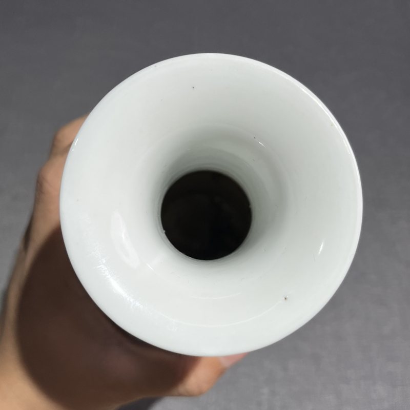 民国粉彩花卉赏瓶 - 图8