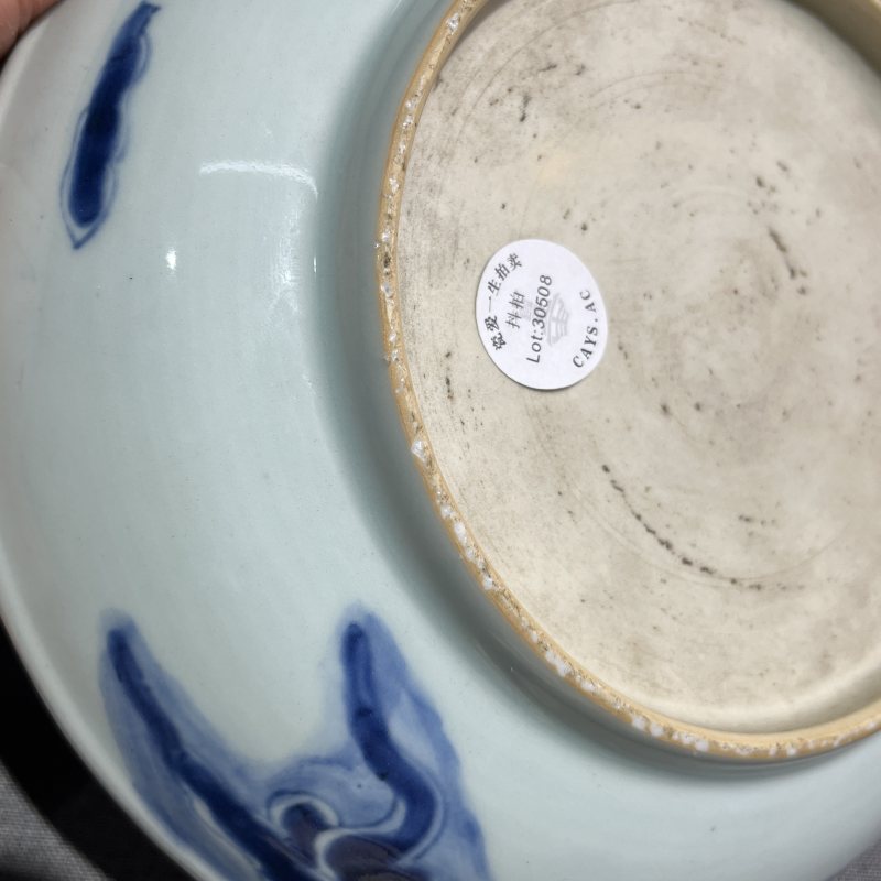 清雍正青花过墙龙纹盘 - 图11