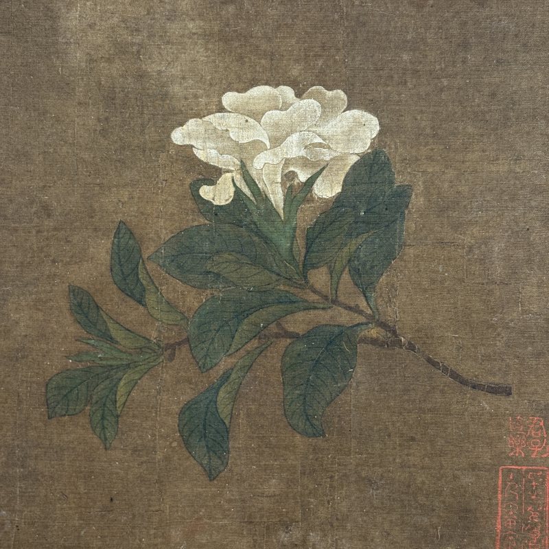 清 韩若拙（款） 花卉 - 图2