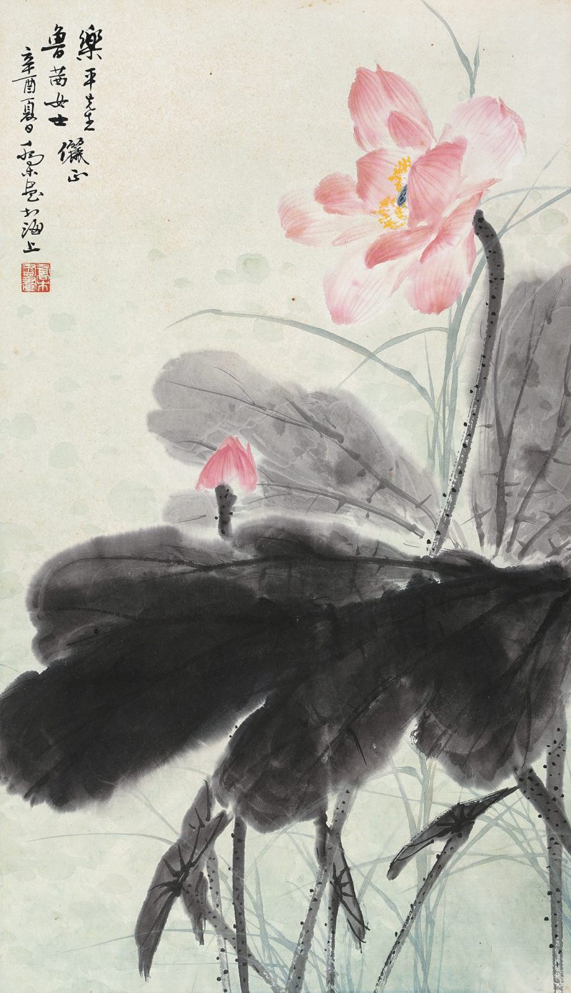 近现代 乔木 荷花