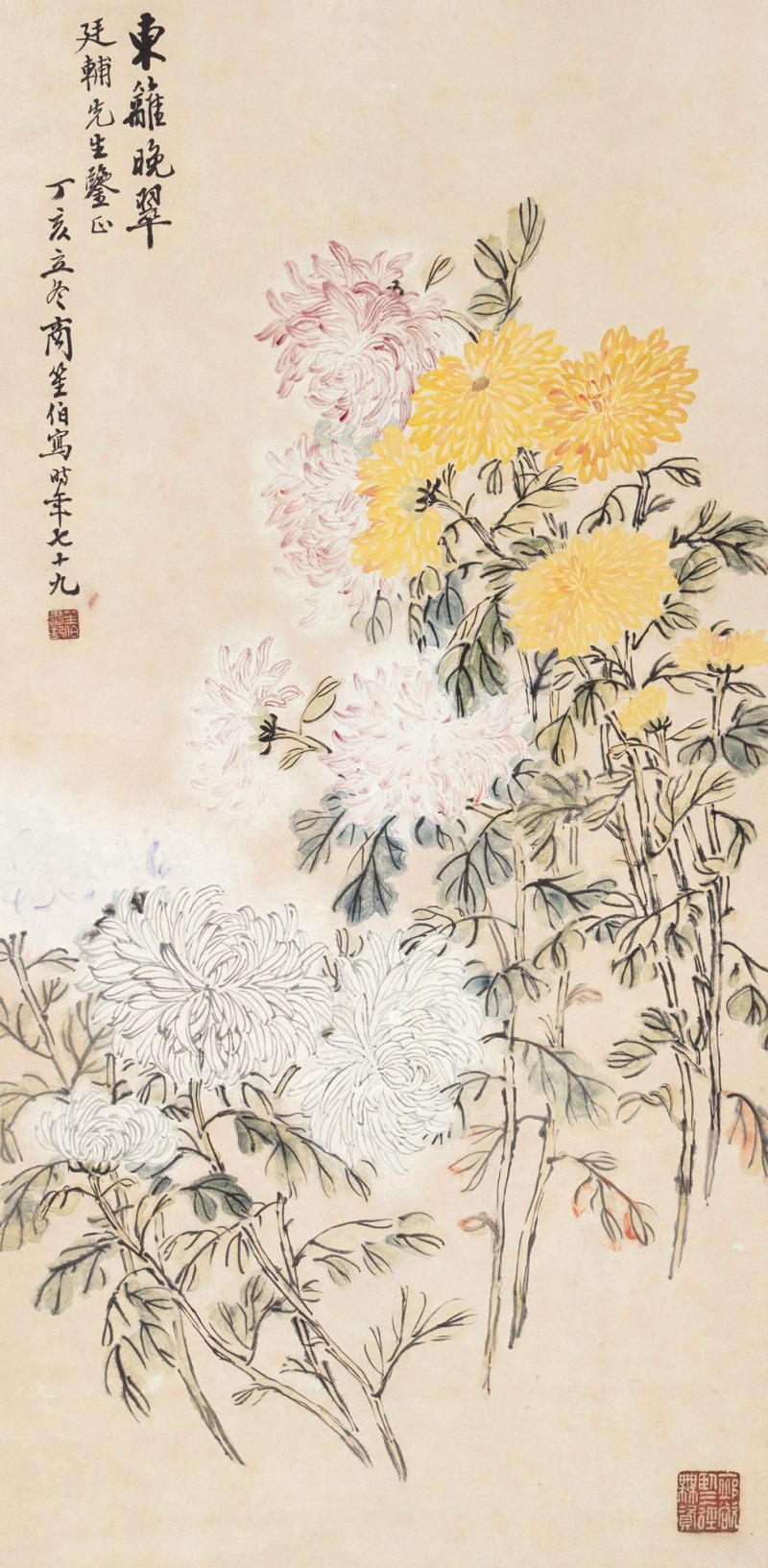 近现代 商笙伯 菊花
