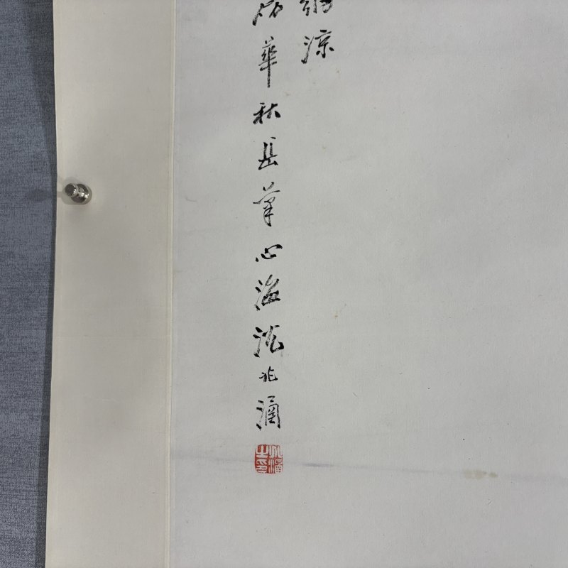 清 沈心海 荷净纳凉 - 图6