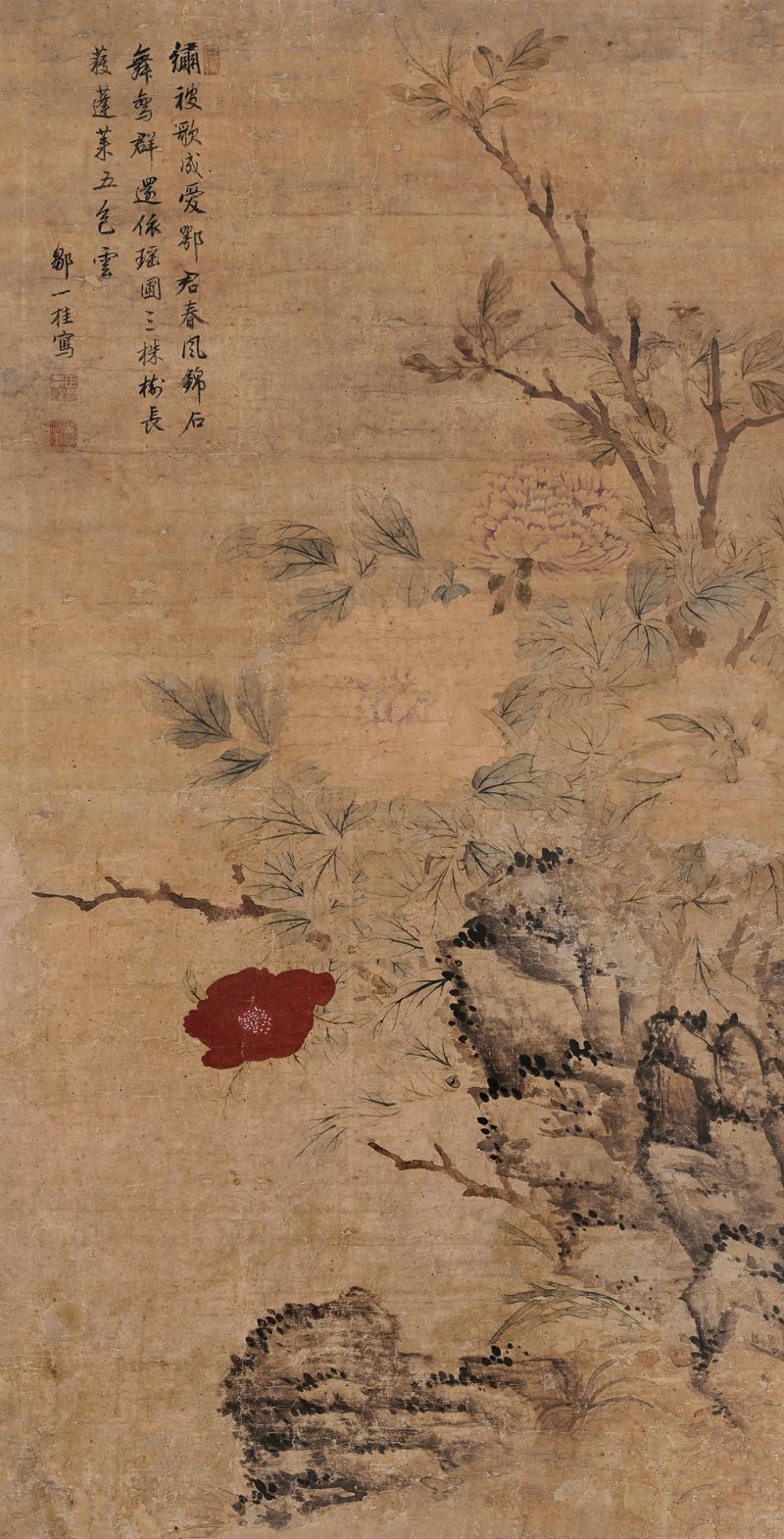 清 邹一桂（款） 花卉