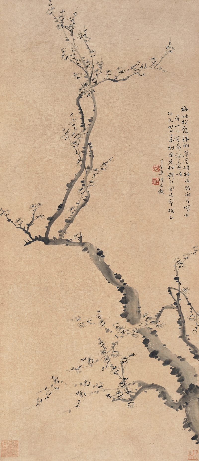 清 焦循 梅花