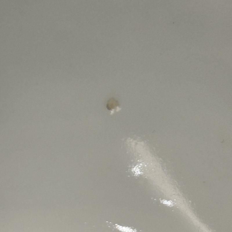 清 青花釉里红缠枝莲纹茶盖碗一对 - 图13