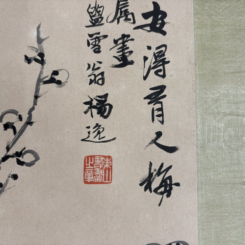清 杨逸 梅花 - 图9