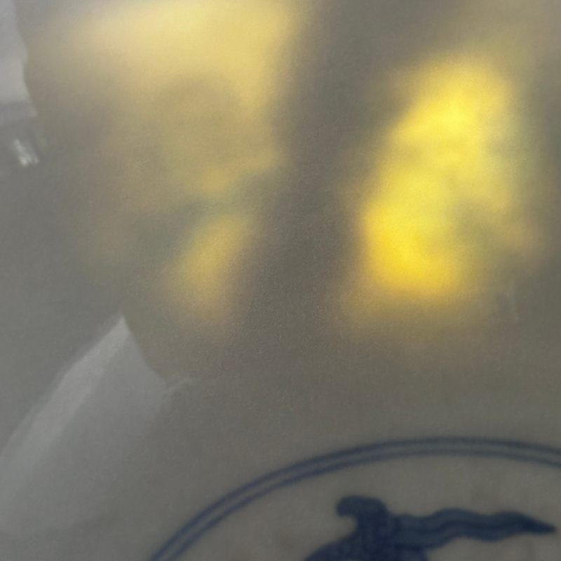 清道光 青花海怪纹大碗 - 图28