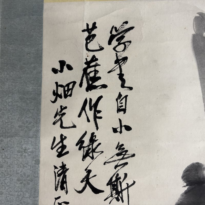 近现代 齐白石 芭蕉 - 图5