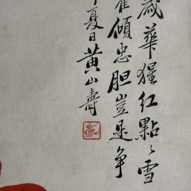 清 黄山寿 花卉 - 图5