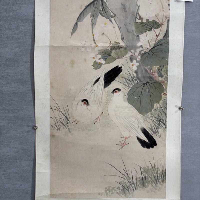 清 王素 花鸟 - 图4