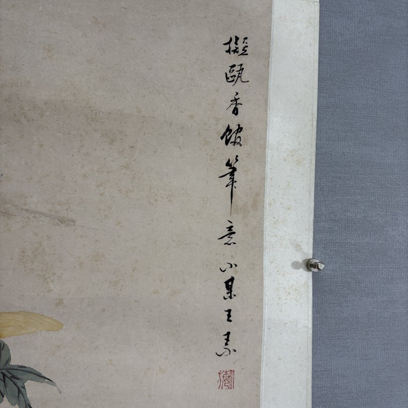 清 王素 花鸟 - 图5