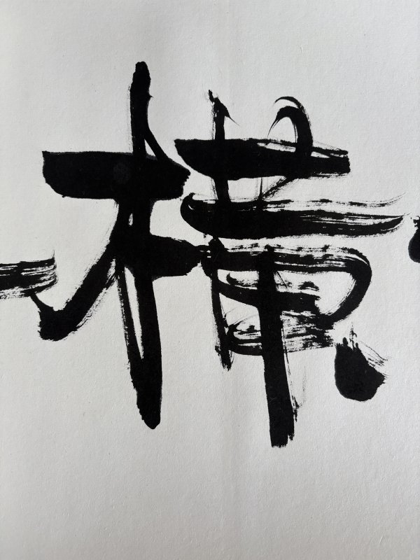 近现代 李涵秋 疏影横斜图 - 图4