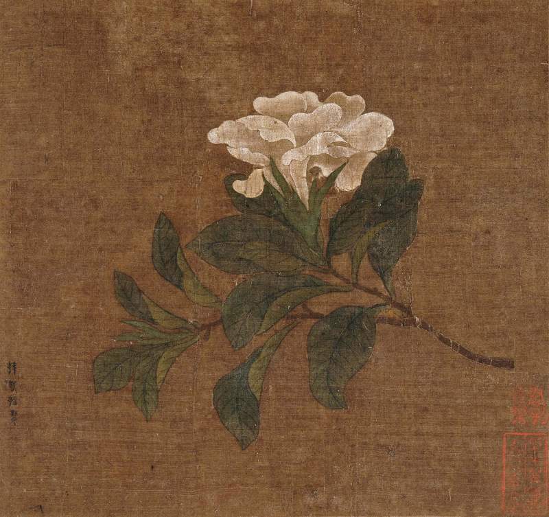 清 韩若拙（款） 花卉
