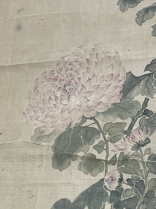 老花卉图一张 - 图8