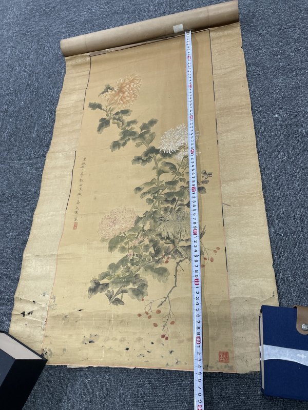 老花卉图一张 - 图11