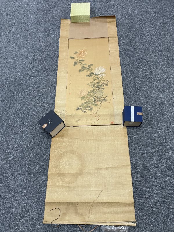 老花卉图一张